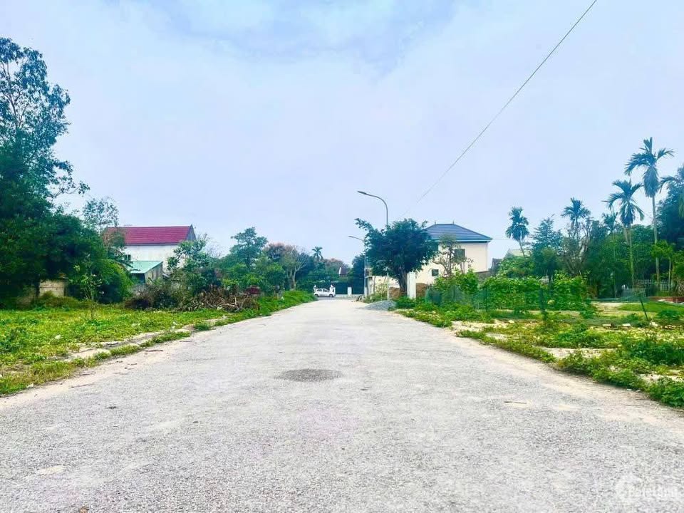 Đất nền ấp Xóm Vinh, xã Tân Đông, 2778m² giá 450 triệu - Thương lượng tốt