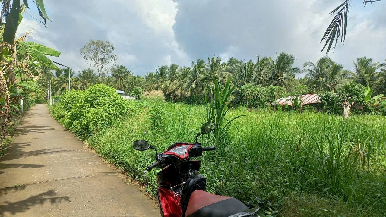 Đất thổ cư Xã Nguyệt Hóa, Huyện Châu Thành, 140m² chỉ 450 triệu - Vị trí vàng gần chợ