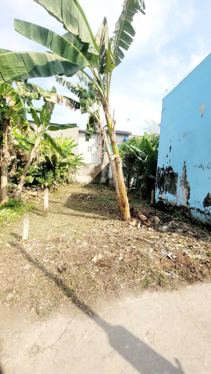 Đất thổ cư 100m² tại xã Mỹ Lộc, Cần Giuộc, giá chỉ 790 triệu - Sổ hồng chính chủ!