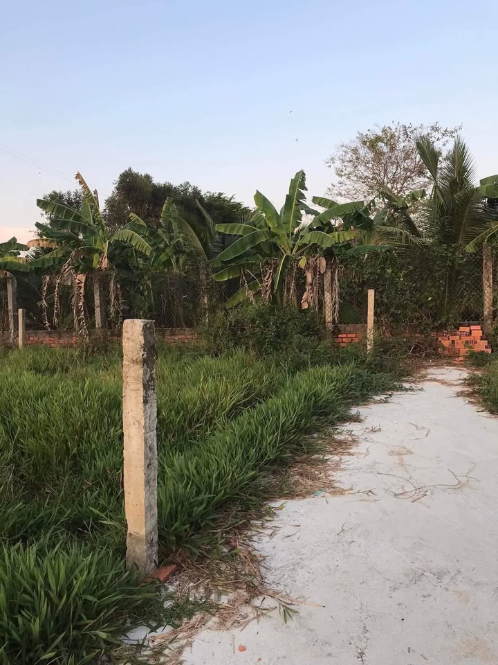 Đất nền xã Quê Mỹ Thạnh, huyện Tân Trụ, Long An 207m² - Đầu tư sinh lời ngay!