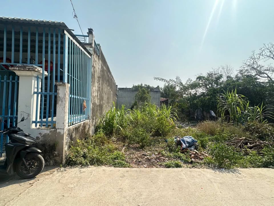 Đất nền xã Mỹ Hạnh Nam 95m² giá 1.15 tỷ - Sổ đỏ chính chủ!