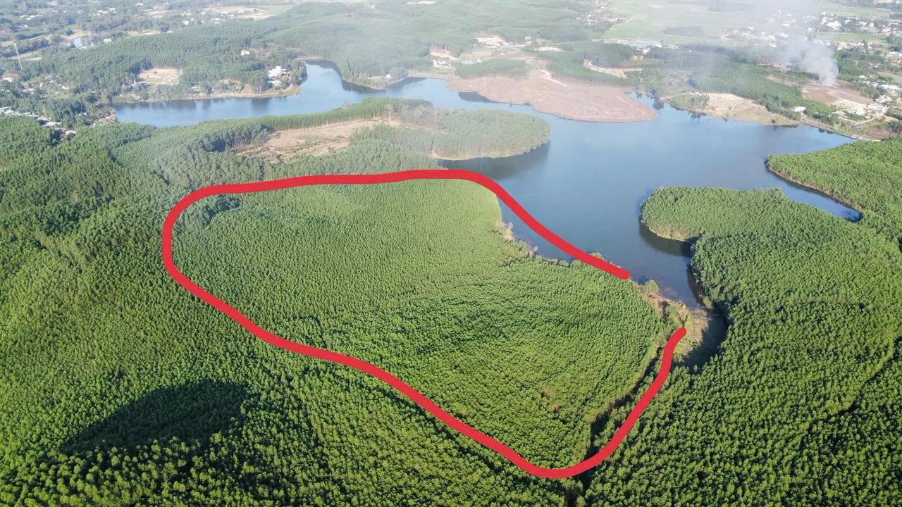 Đất rừng Hòa Vang Đà Nẵng 130.000m² giá 117 tỷ - Đầu tư sinh lời hấp dẫn!