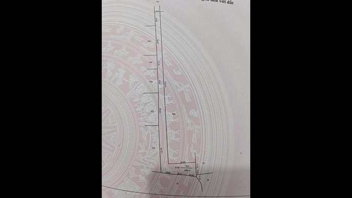 Đất vườn Long Cường, Long Thuận 1000m² giá 360 triệu - Đầu tư sinh lời ngay!