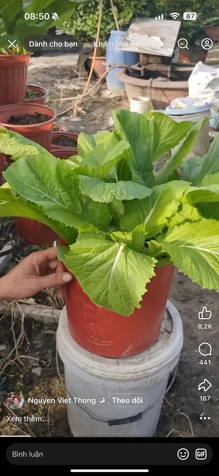 Đất thổ cư 400m² tại xã Xuân Hòa, Lập Thạch - Giá chỉ 6.6 tỷ - Đầu tư sinh lời!