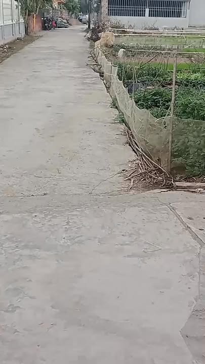 Đất thổ cư tại xã Liên Am, huyện Vĩnh Bảo 110m² - Giá cả thỏa thuận, đường rộng 4m