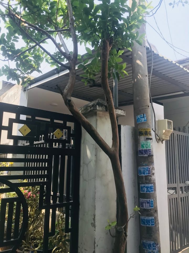 Nhà đẹp Thủ Đức 60m² giá 3.5 tỷ - Sẵn sàng đón Tết!