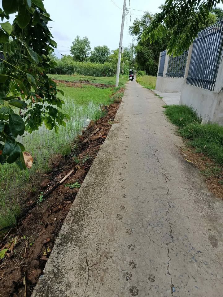 Đất thổ cư 162m² tại Giồng Cát, Gò Công, giá 400 triệu - Sổ hồng sẵn!