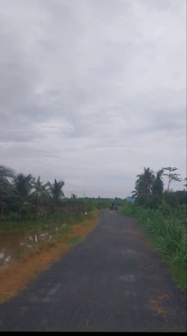 Đất nông nghiệp Gò Công Tây 8600m² giá 4.73 tỷ - Mặt tiền đường nhựa rộng rãi