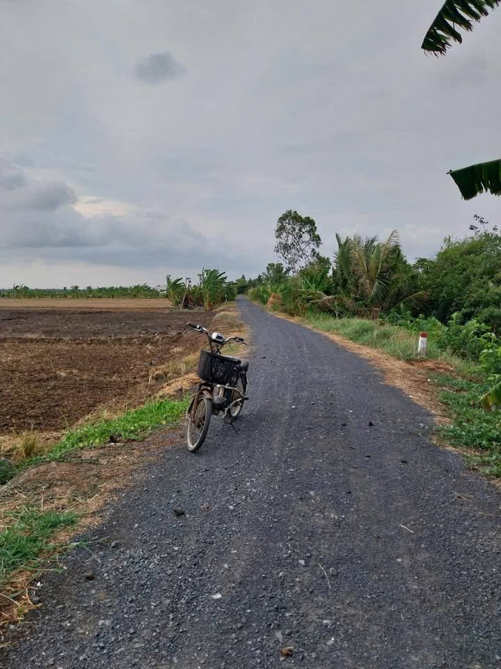 Đất Farm đẹp tại Yên Luông, Gò Công Tây 5000m² giá 2.25 tỷ - Sổ hồng chính chủ!