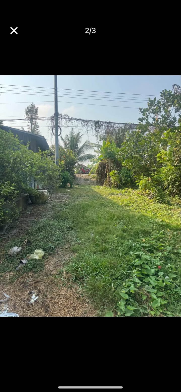 Đất thổ cư 11 công tại Tân Phú, Châu Thành - Giá 1.65 tỷ, mặt tiền lộ nhựa thuận lợi!