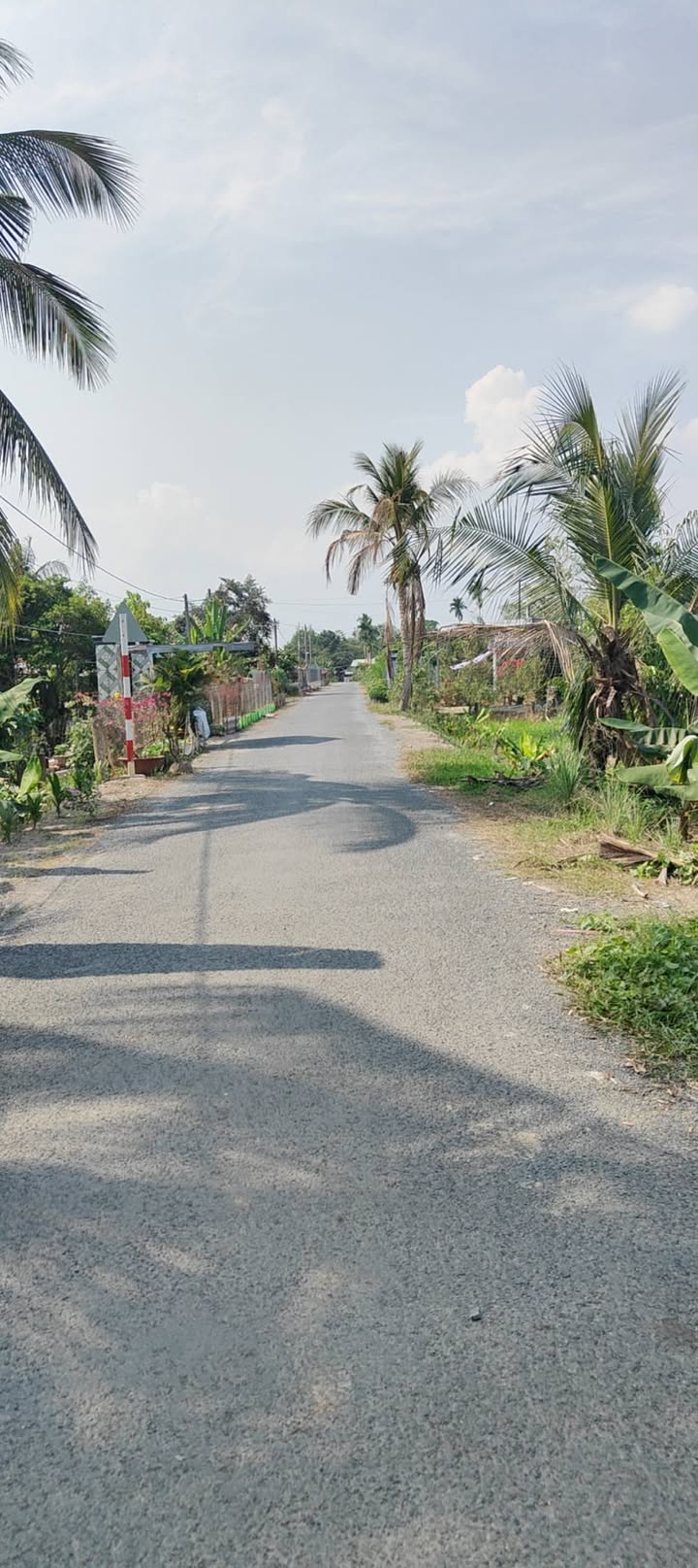 Đất thổ cư Nhơn Phú, Vĩnh Long 192.2m² - Gần chợ, trường học, thuận tiện giao thông!