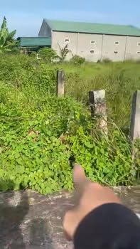 Đất thổ cư 250m² tại thôn Lập Bình, Bình Thuận - Giá chỉ 680 triệu!