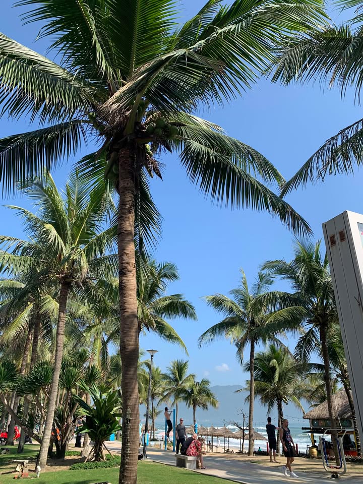 Bán gấp FrontHouse mặt tiền Thạch Lam 82m² - Kinh doanh đắc địa chỉ 13 tỷ