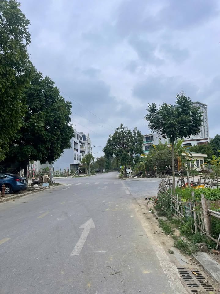 Đất nền MBQH203 Đông Hải 118m² giá 5.5 tỷ - Vị trí trung tâm tiện ích đầy đủ!