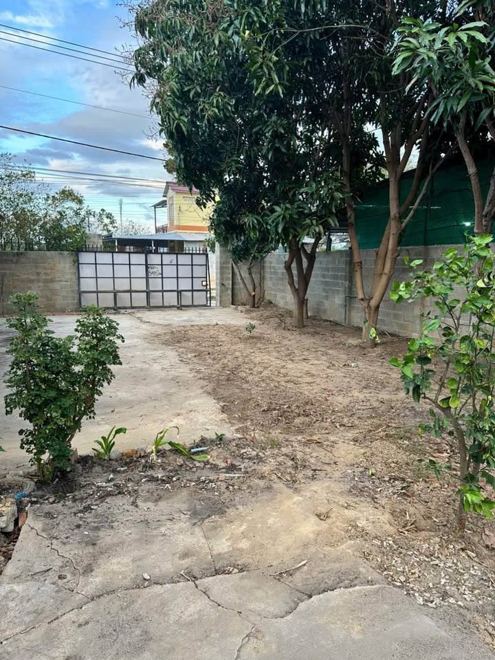 Đất thổ cư mặt tiền Mương Nhật Long Bình 282m² giá 2 tỷ - Vị trí kinh doanh lý tưởng!