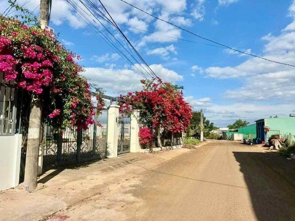 Đất thổ cư hẻm Lý Thường Kiệt, Quận 11, 160m² giá 850 triệu - Sổ hồng chính chủ!