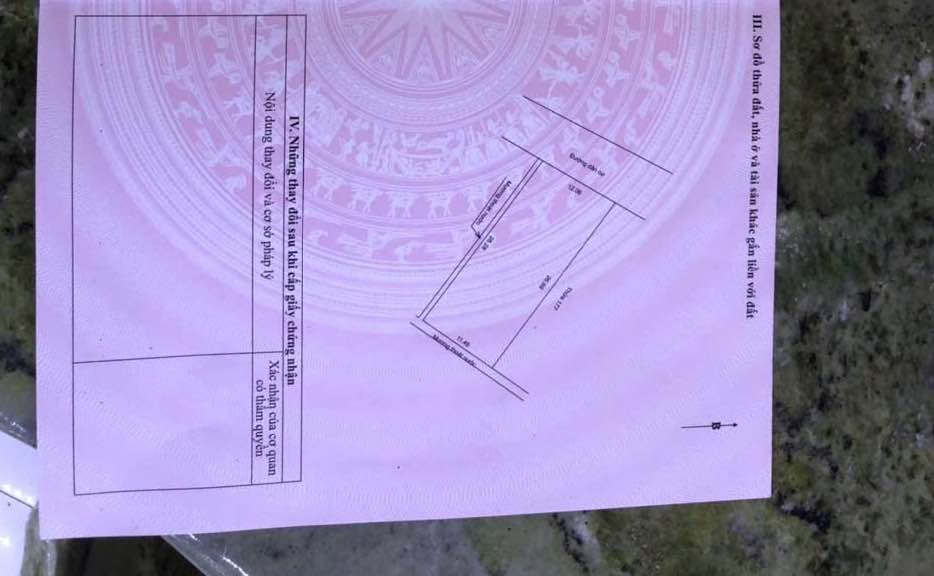 Đất thổ cư Phường Đồng Môn 300m² chính chủ - Cơ hội đầu tư hấp dẫn!