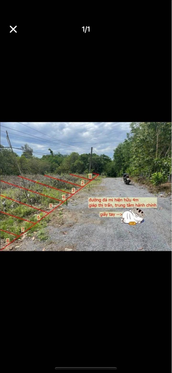 Đất nền Ngọc Định, Định Quán, 150m² giá 90 triệu - Cơ hội đầu tư hấp dẫn!