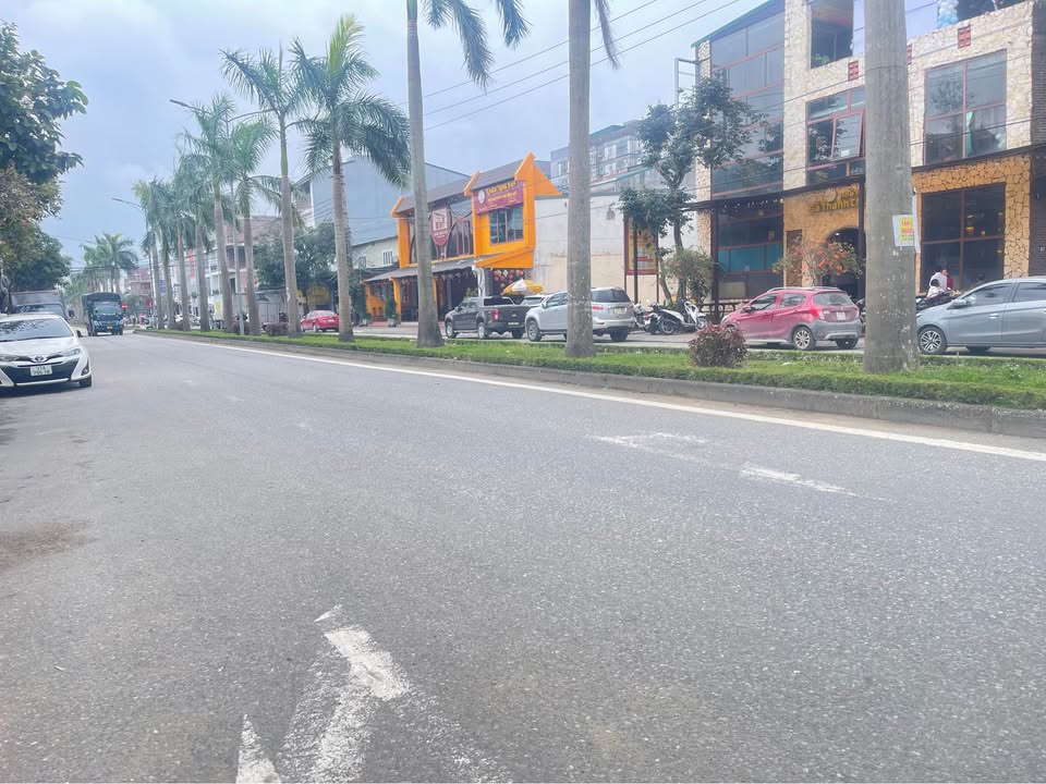 Lô đất kinh doanh mặt đường Lê Bá Tùng, 114m² giá 8.5 tỷ - Cơ hội đầu tư hấp dẫn!