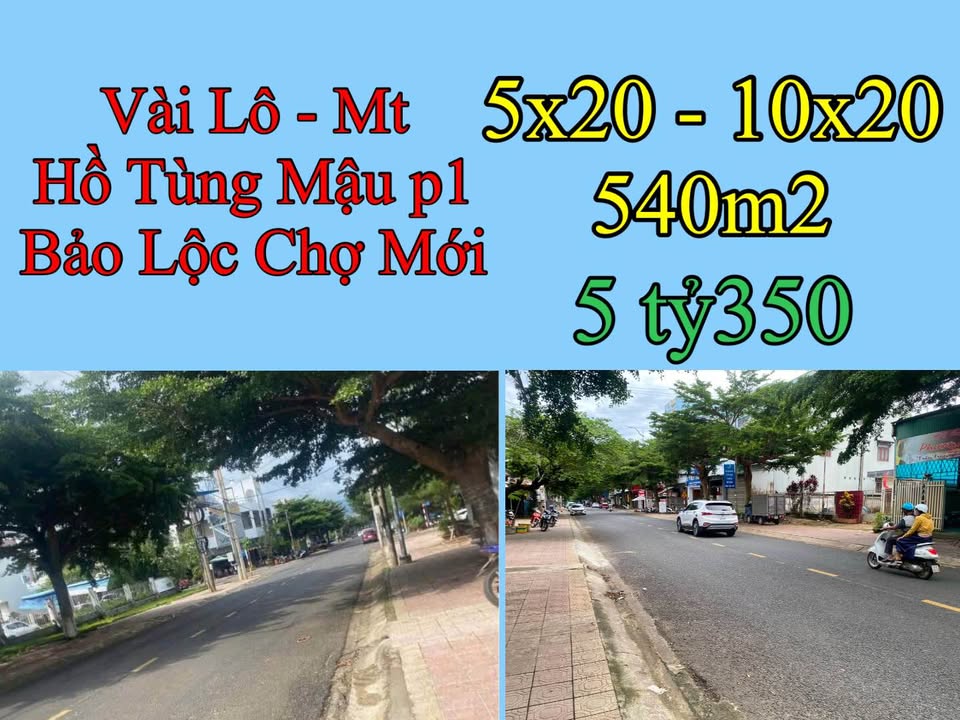 Đất mặt tiền Hồ Tùng Mậu, TP Bảo Lộc, 102m² giá 5.35 tỷ - Đầu tư sinh lời!