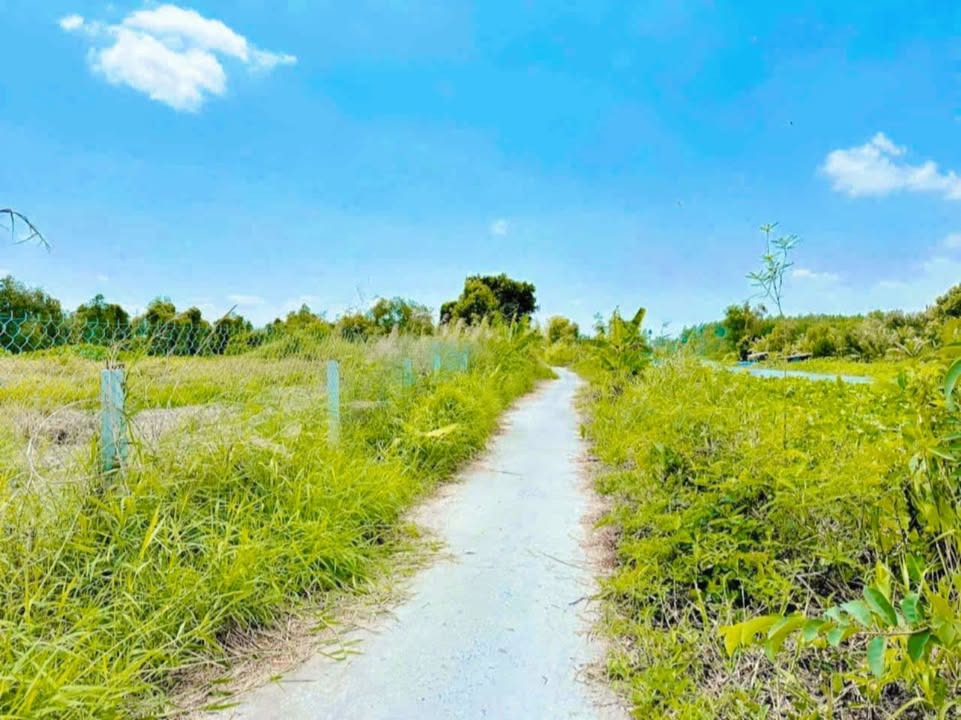 Đất nền Lộ ĐaL, Huyện Trần Đề, 14850m² giá 2.97 tỷ - Sổ hồng chính chủ!