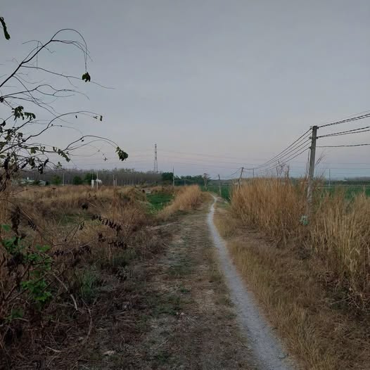 Đất nền mặt tiền Kênh - View Núi, Phường Ninh Thạnh 1000m² - Cơ hội đầu tư tuyệt vời!