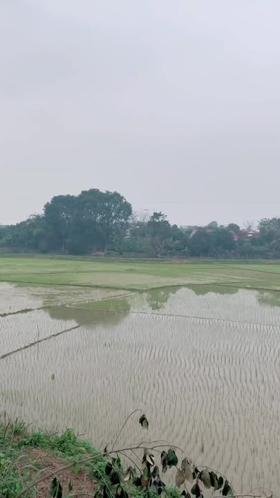 Đất nền đẹp view hồ tại Xã Chu Hóa, 3000m² giá 20 tỷ - Đầu tư sinh lời!