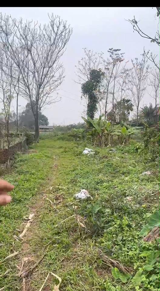 Đất thổ cư 120m² xã Phùng Nguyên, giá thỏa thuận - Cơ hội đầu tư hấp dẫn!