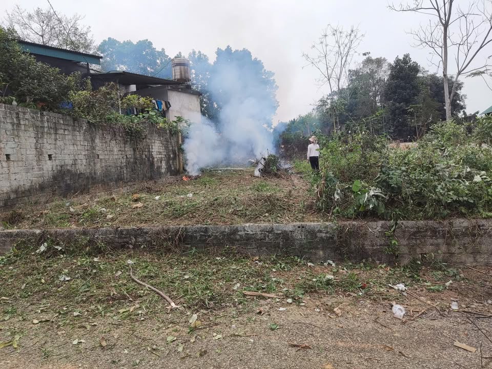 Đất nền Phú Hộ, 125m² giá 1.4 tỷ - Cơ hội đầu tư hấp dẫn!