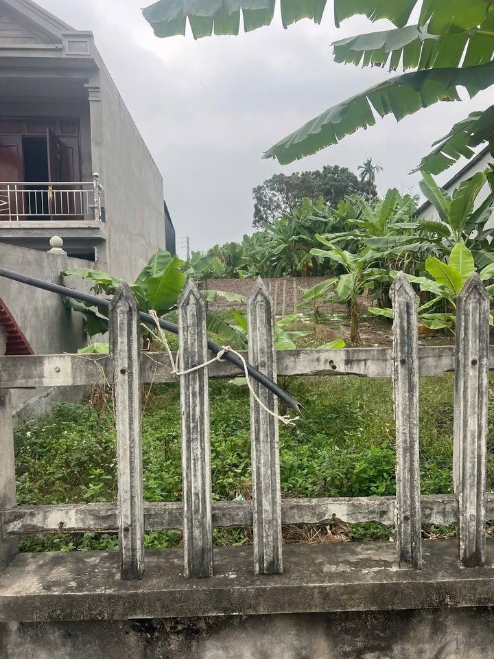 Đất Hợp Châu, Tam Đảo 140m² giá 600 triệu - Ô tô vào tận nơi!