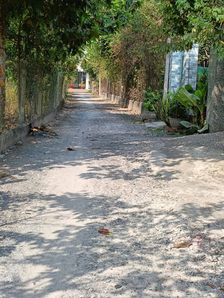 Đất nền đẹp tại khu phố Thanh Hòa, Tây Ninh 276m² - Bán gấp, giá tốt!