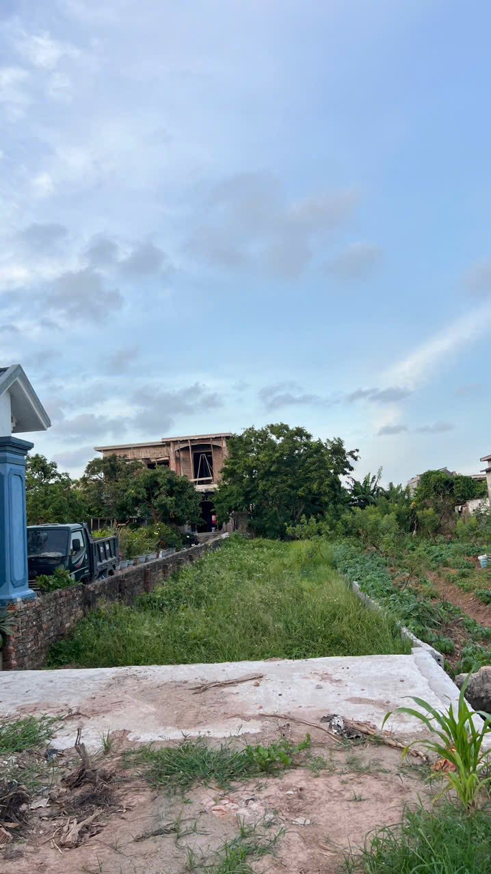 Đất thổ cư 159m² Xã Nam Hồng, Huyện Tiền Hải - Đầu tư sinh lời tốt!