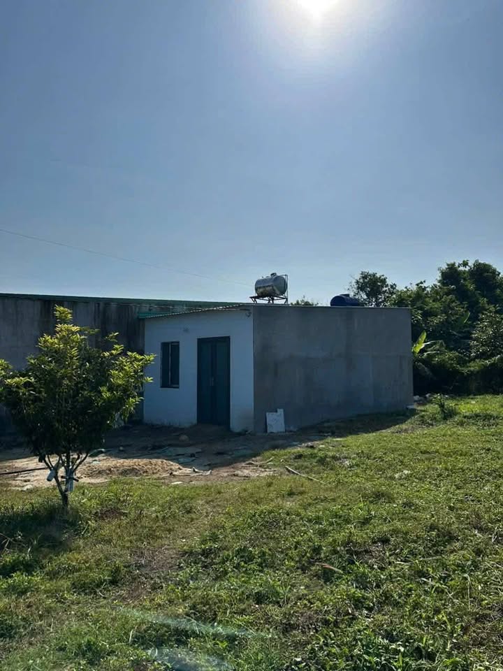 Nhà bán tại Thị trấn Dầu Giây, Huyện Thống Nhất, 175m² giá chỉ 295 triệu - Cơ hội đầu tư tuyệt vời!