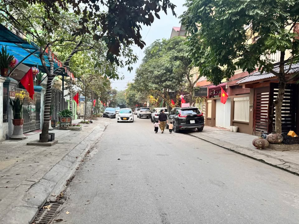 Đất nền liền kề đường LNQ, TP Thái Nguyên 176m² giá 10 tỷ - Vị trí đắc địa, thương lượng ngay!