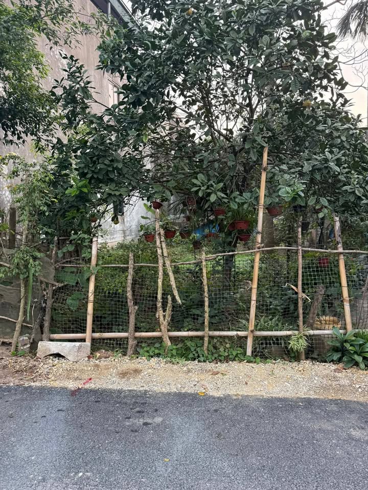 Đất nền TDP số 1, phường Duy Tiên, Ninh Bình 105m² giá 2 tỷ - Vị trí đắc địa ngay trung tâm!