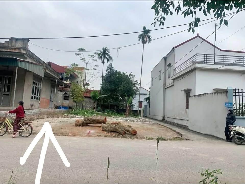 Đất nền Tràng An Bình Lục 100m² giá 1.3 tỷ - Vị trí đắc địa gần cao tốc