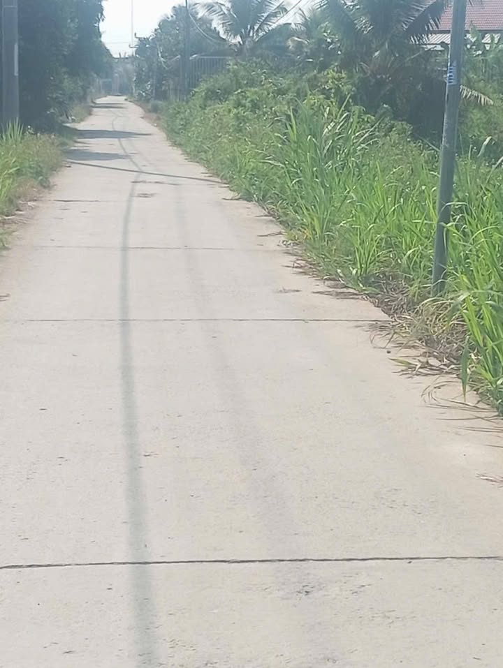 Đất thổ cư mặt tiền ấp 5 Nhị Thành Thủ Thừa 186m² giá 820.5 triệu - Cơ hội đầu tư tuyệt vời!