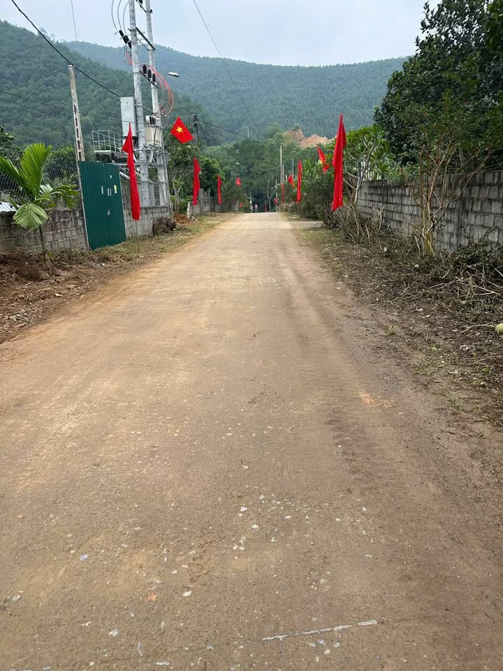 Đất nền thôn Hợp Lý, Bảo Hiệu, 61.5m² giá chỉ 2xx triệu - Cơ hội đầu tư hấp dẫn!