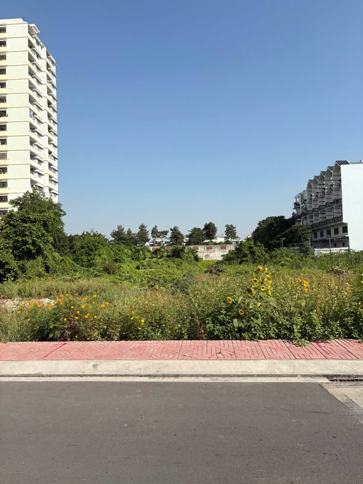 Đất phân lô Võ Văn Kiệt, Quận 6, 51m² giá 4 tỷ - Vị trí đắc địa, xây dựng tự do!