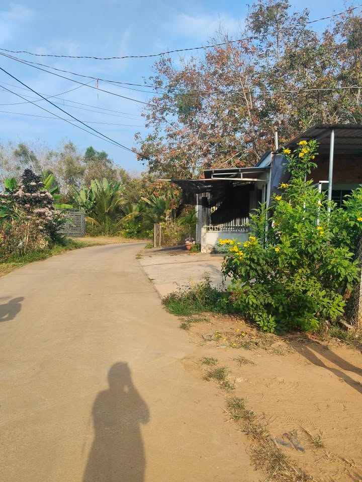 Đất vườn Hắc Dịch 720m² giá 590 triệu - Lô góc 2 mặt tiền hấp dẫn!