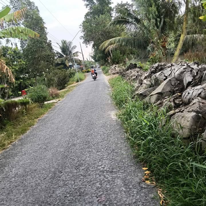 Đất nền thổ cư 310m² tại Xã Thạnh Tân, Sóc Trăng - Giá chỉ 540 triệu