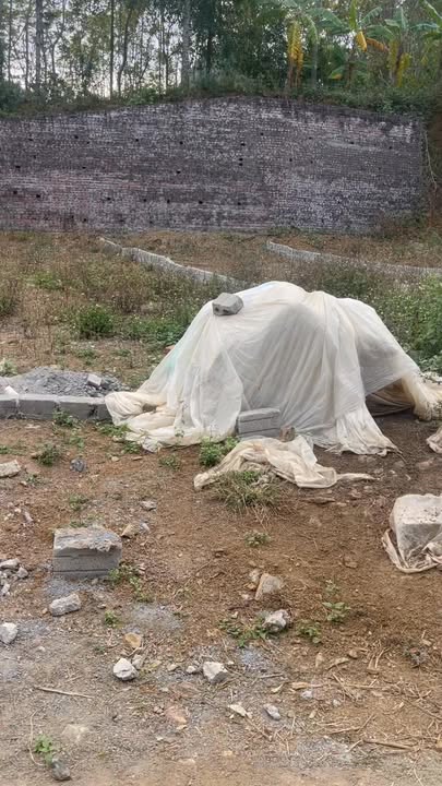 Đất nền Xã Lạc Lương, Huyện Yên Thủy, 107m² giá 200 triệu - Cơ hội đầu tư lý tưởng!