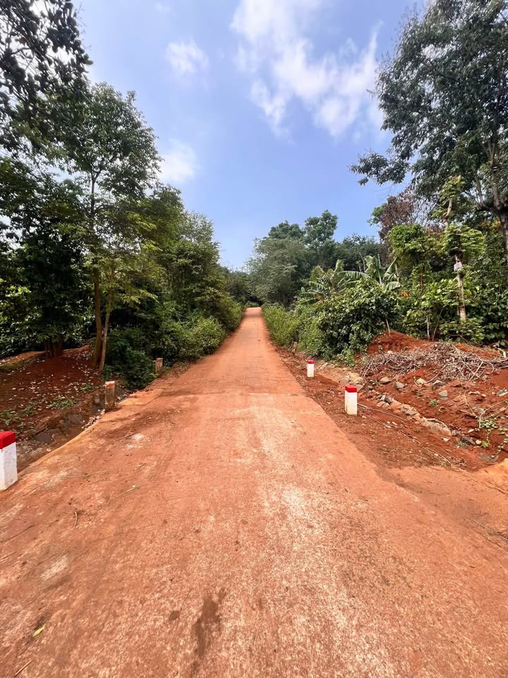 Đất Farm Cư Suê 936m² giá 2.69 tỷ - Sát hồ Him Lam, góc 2 mặt tiền đẹp!