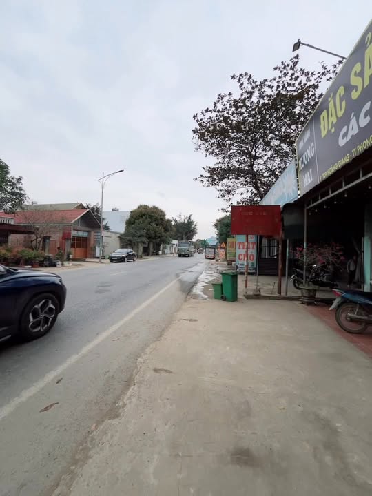 Đất nền kinh doanh tại TDP Hoàng Giang, 382m² - Dòng tiền sinh lời ngay!