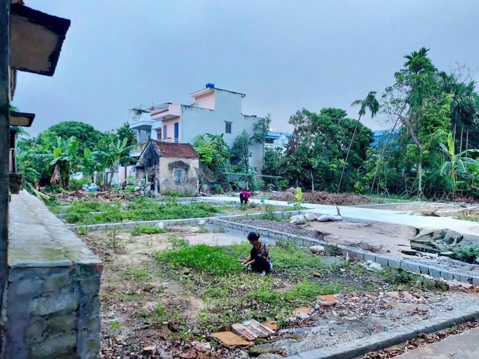 Đất thổ cư Thôn Hoàng Xá, Vân Đình 53.1m² giá 2 tỷ - Cơ hội đầu tư sinh lời cao!