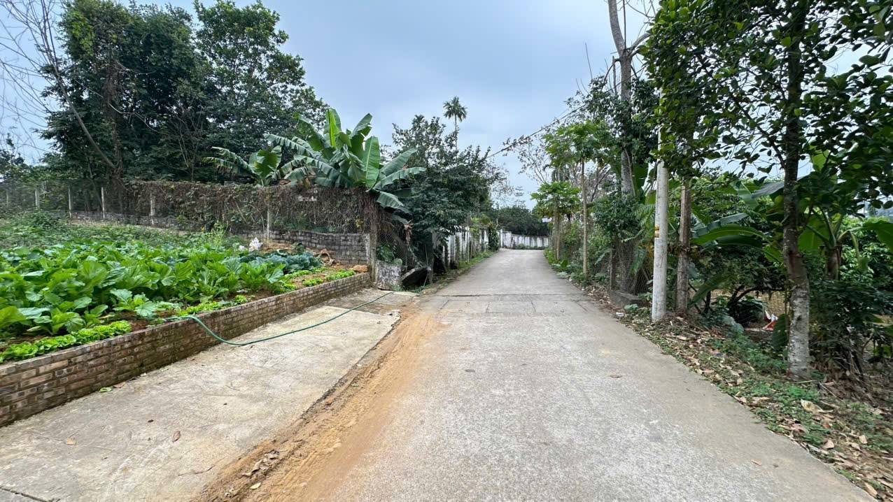 Lô đất đẹp tại Ba Vì 780m² giá 4 tỷ - Đầu tư sinh lời hấp dẫn!