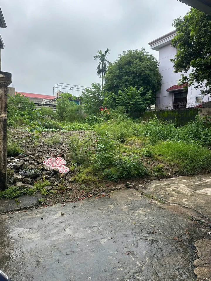 Đất nền Lý Thường Kiệt, Đông Hà 107m² giá 1 tỷ - Đường ô tô thông thoáng!