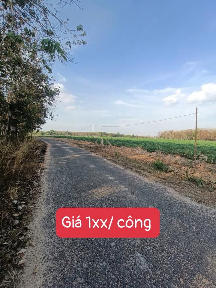 Đất thổ cư 1000m² tại Xã Phước Vinh, Huyện Châu Thành giá chỉ 100 triệu - Đầu tư sinh lời nhanh!