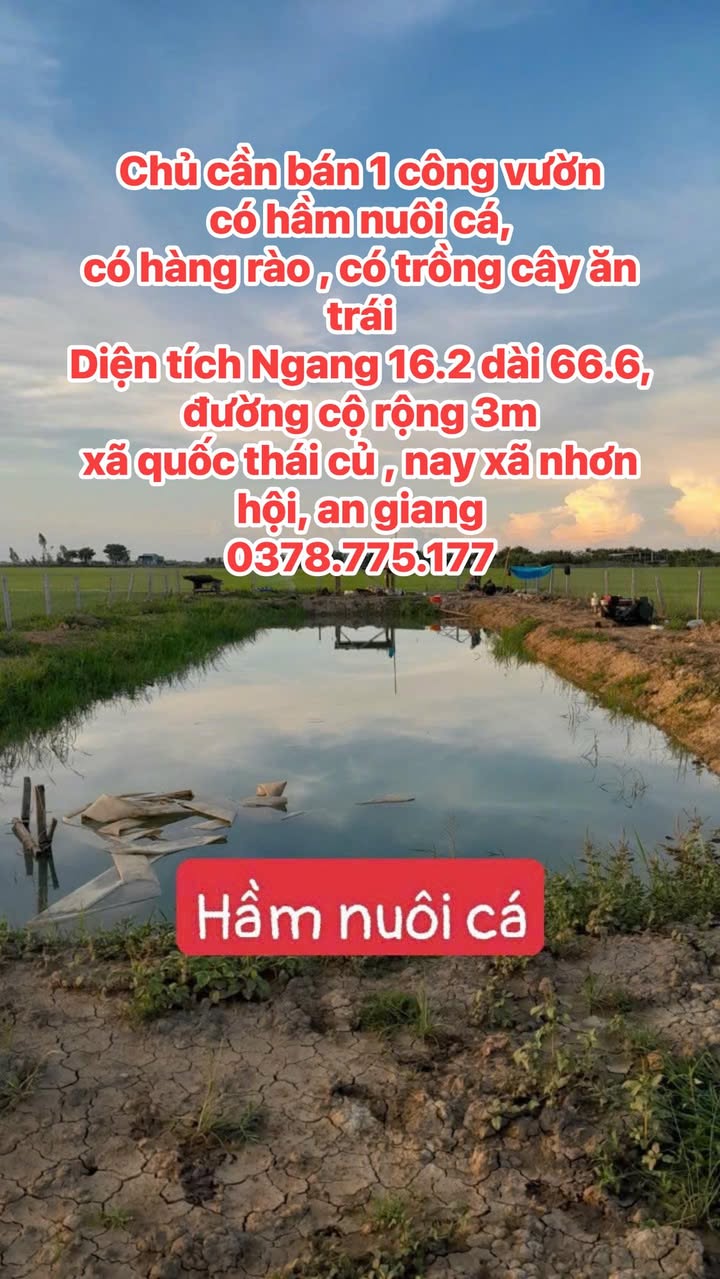 Farm 1000m² tại Đường Cộ Út Ủ, Long Xuyên - Bán gấp, giá thỏa thuận!