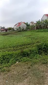 Đất đấu giá Quỳnh Bảng Nghệ An 243m² - Vị trí đắc địa gần biển!